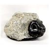 Image 2 : Natural Obsidian Rock Specimen