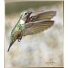 Image 6 : 3 Hummingbird Archival Prints by John Wachholz