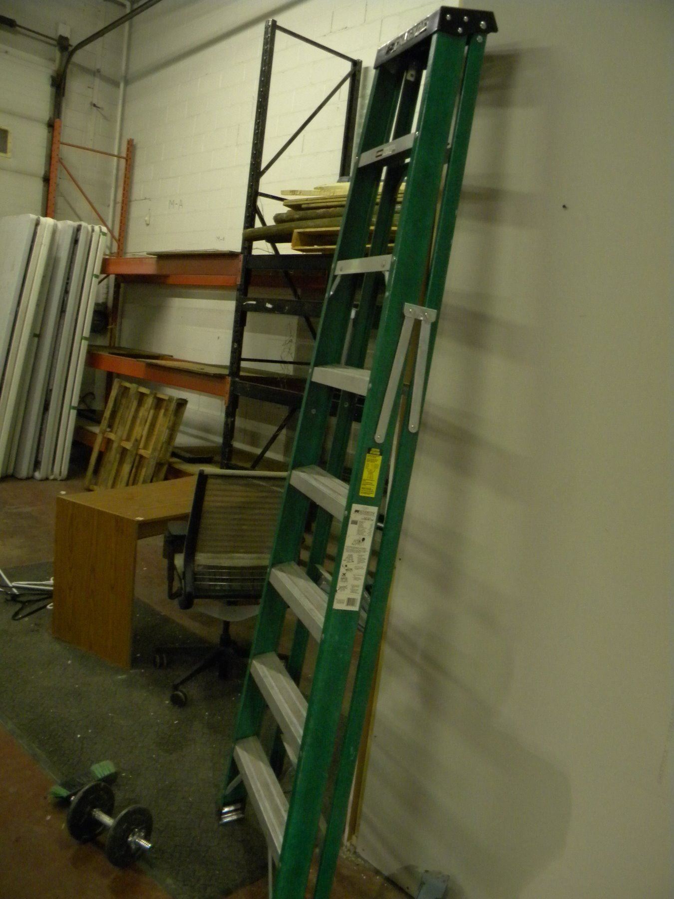 Renegade 10 foot ladder