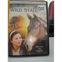 Used The Wild Stallion