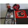 Image 1 : Calgary fan lot