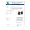 Image 3 : 10 CTW Oval Black Diamond Stud Designer Earrings 14K Yellow Gold - REF-216A2X - 38399