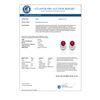 Image 3 : 2.50 Ruby & Micro Pave VS/SI Diamond Stud Earrings 10K White Gold - REF-25A6X - 22336