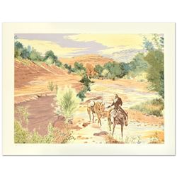 Oak Creek Canyon by Nelson, William