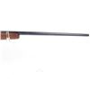 Image 3 : Remington Varminter .222