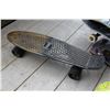 Image 1 : PENNY BOARD