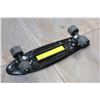Image 2 : PENNY BOARD NICKEL