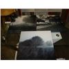 Image 2 : THREE SMALL CANVAS PRINTS