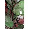 Image 2 : ARTIFICIAL PLANT