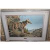 Image 1 : EVENING CALM COYOTE  24545