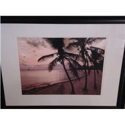 PALM BEACH PRINT