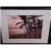 Image 1 : PALM BEACH PRINT