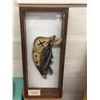 Image 1 : Jaw Bone War Club Display