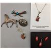 Image 1 : Group of Pins and Necklaces