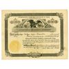 Image 1 : Gainesville Traction Co., 1918 Issued Stock Certificate