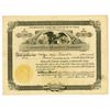 Image 1 : Gainesville Traction Co., 1918 Issued Stock Certificate