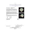 Image 5 : 14KT Rose Gold 4.20 ctw Opal and Diamond Ring