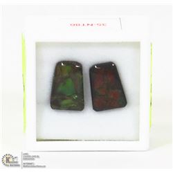 35) GENUINE CANADIAN AMMOLITE GEMSTONES