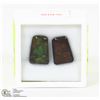 Image 1 : 35) GENUINE CANADIAN AMMOLITE GEMSTONES