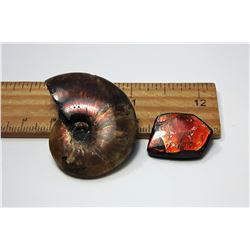 6 - RED FIRE AMMOLITE GEMSTONE