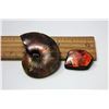 Image 1 : 6 - RED FIRE AMMOLITE GEMSTONE