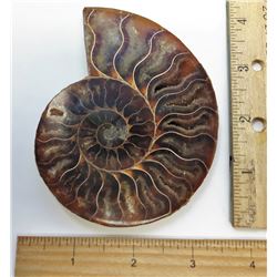 1 - LARGE SPLIT NATURAL AMMONITE