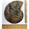 Image 2 : 1 - LARGE SPLIT NATURAL AMMONITE