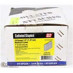 CASE OF COLLATED STAPLES
