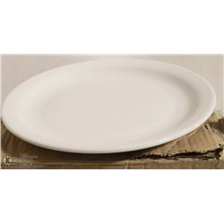 LOT OF 12 NEW 10.5" PLATES