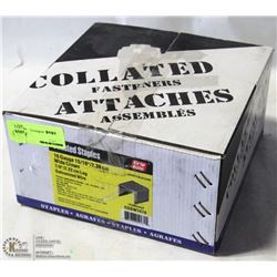 CASE OF GRIP-RITE 16-GAUGE COLLATED STAPLE