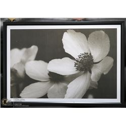 BLACK FRAMED FLOWER PICTURE