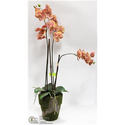 36" TALL SILK ORCHID