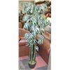 Image 1 : 6FT TALL SILK PLANT.