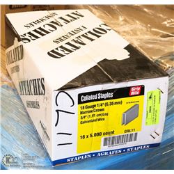 CASE OF 18 GUAGE 1/4" NAROOW CROWN 3/4" LEG