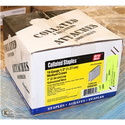 CASE OF 16 GUAGE 1/2" MEDIUM CROWN STAPLES