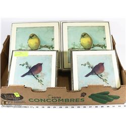 LOT OF 4 BOMBAY COMPANY BIRD PRINTS