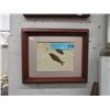 Image 1 : Framed Green River Formation Fossil