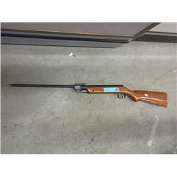 Pellet Rifle with Wood Stock