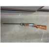 Image 1 : Pellet Rifle with Wood Stock