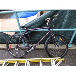 21 Speed Raleigh "Legend" Mountain Bike