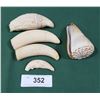 Image 1 : LOT OF 4 VINTAGE WHALE'S TEETH & CONUS QUERCINUS SHELL