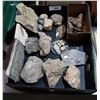 Image 1 : BOX OF MISC FOSSILS