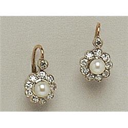 A Pair of Earrings 