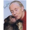 Image 2 : Jane Goodall
