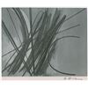 Image 1 : Hans Hartung