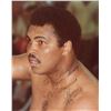 Image 1 : Muhammad Ali