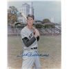 Image 2 : Mantle, Williams, and DiMaggio