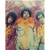 Image 1 : Noel Redding Signed Photograph