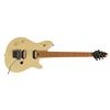 Image 1 : Eddie Van Halen Signed Guitar