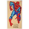 Image 1 : Spider-Man Original Comic Promo Poster